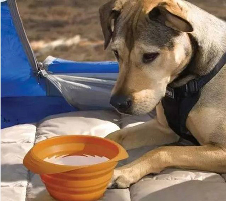 东莞<a href='' class='keys' title='点击查看关于帝博硅胶制品厂的相关信息' target='_blank'>帝博硅胶制品厂</a>