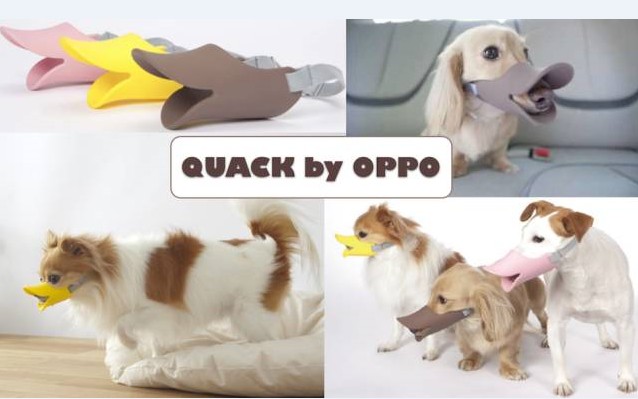 珠三角硅胶制品生产基地